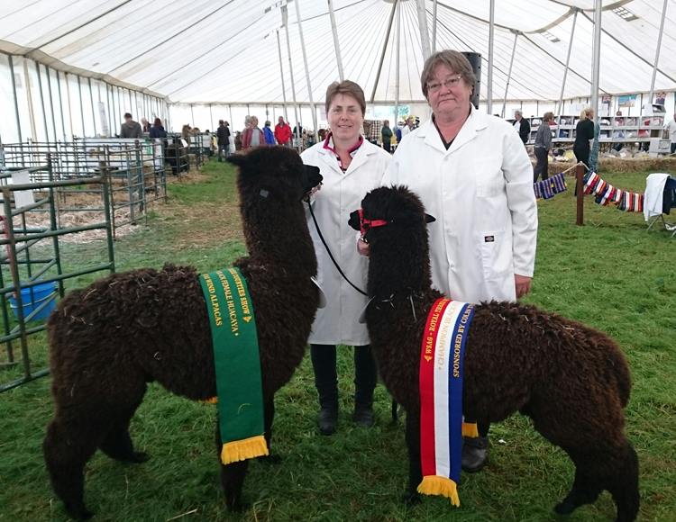 At the show